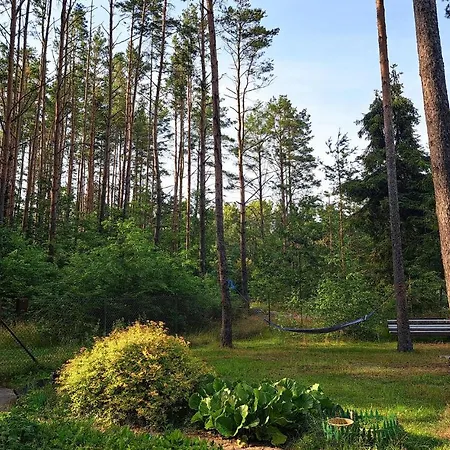 3 Bedroom Cozy In Stezyca (Kartuzy)